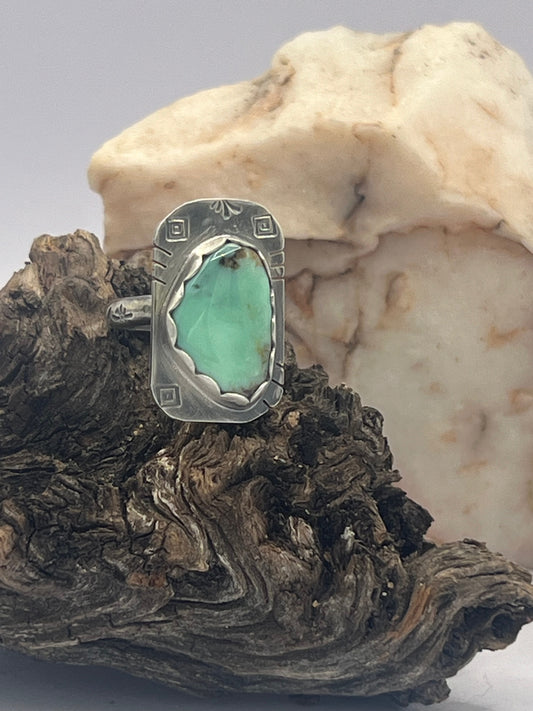 Turquoise  sweetgrass Ring